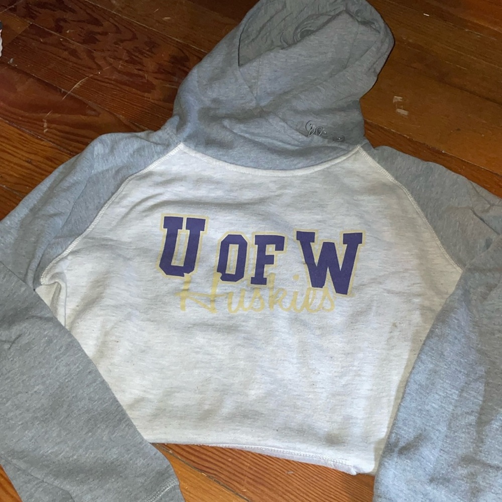 College hoodie UW